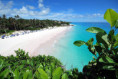 /album/fotky-barbados/barbados-jamajkanita-1-jpg1/